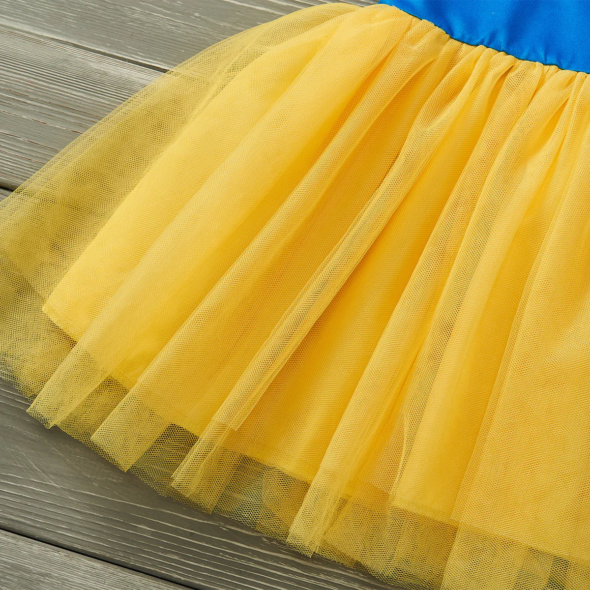 Dress-Up Dresses - Poisoned Apple Princess